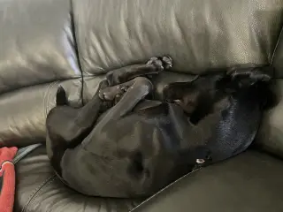 Onyx