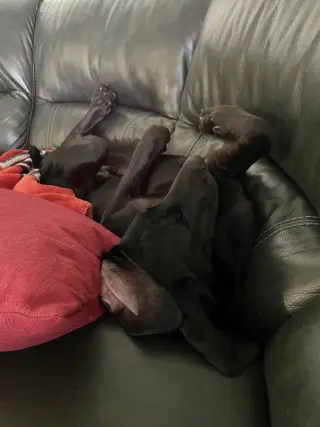 Onyx