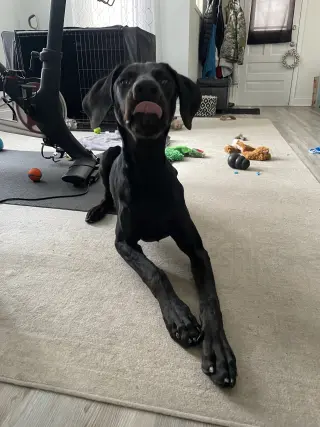 Onyx