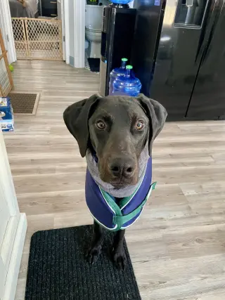 Onyx