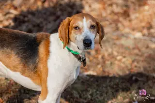 Jack in Powhatan VA