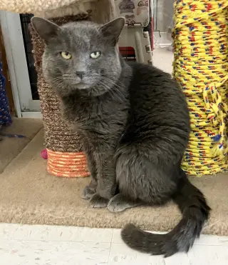 Boris