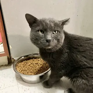 Boris