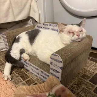 Stuffing