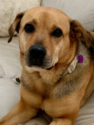 Sally #4