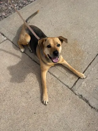 Sally #4