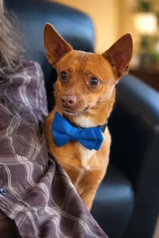 Vinny