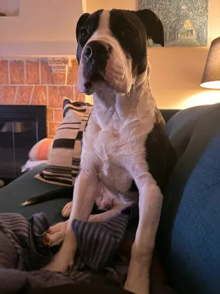 LIL JON