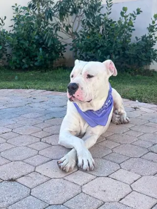COURTESY POST: Sofia's foster