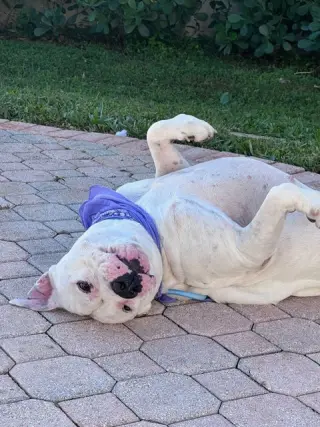 COURTESY POST: Sofia's foster