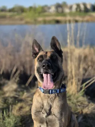 Arthur - Located in OK