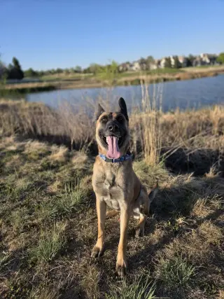 Arthur - Located in OK
