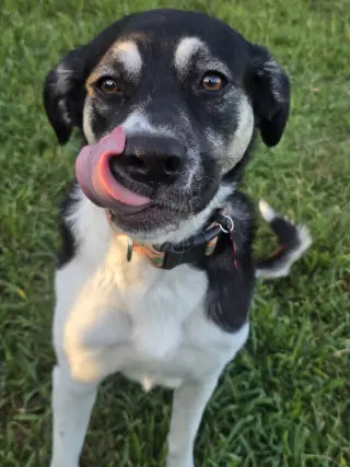 Holly Mae