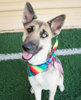 Margarita