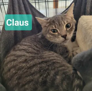 Claus