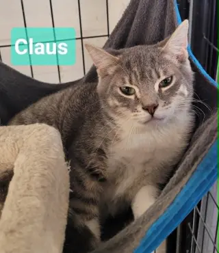 Claus