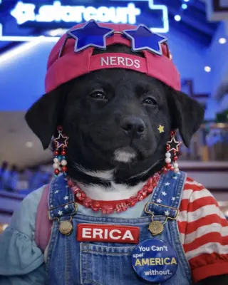 Erica