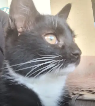 Zola =^.^=