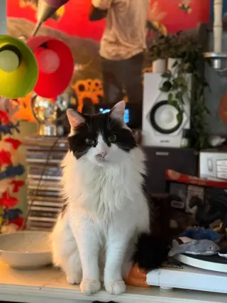 Leo