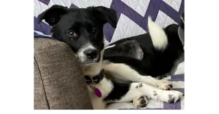 Minnie