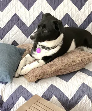 Minnie