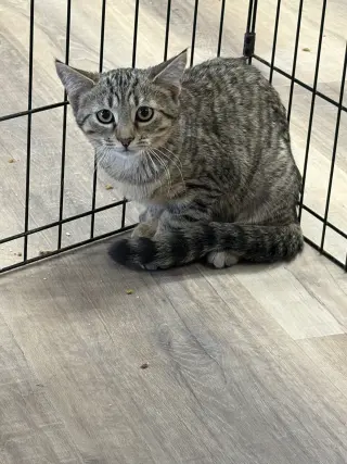 MIA