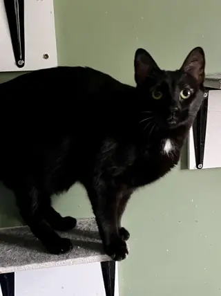 Luna