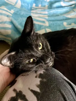 Luna