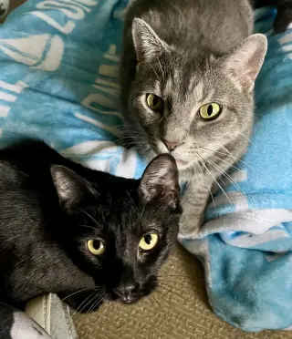 Luna