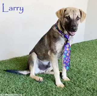 Larry
