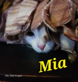 Mia
