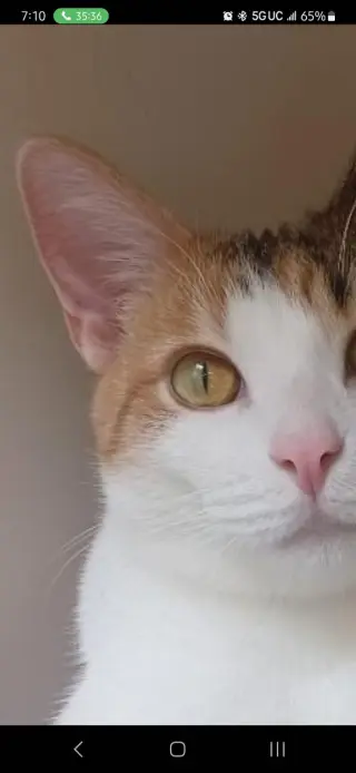 Mia