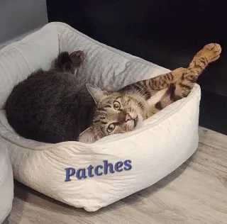 Patches
