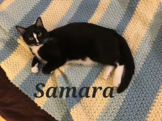 Samara