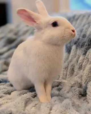Nyxy