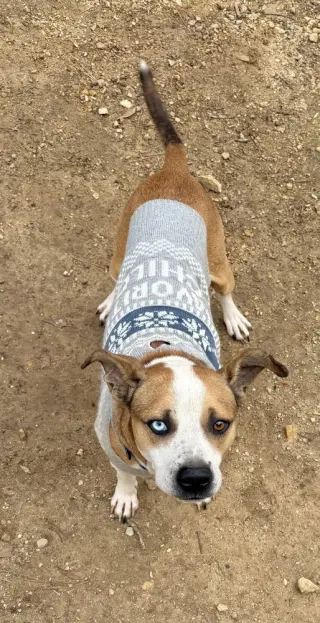 Zeus (from GA)