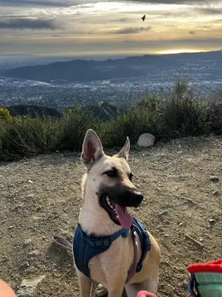 Ella - located in CA