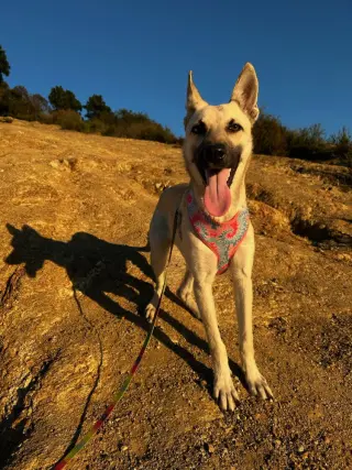 Ella - located in CA