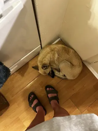 Ella - located in CA