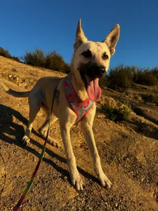Ella - located in CA