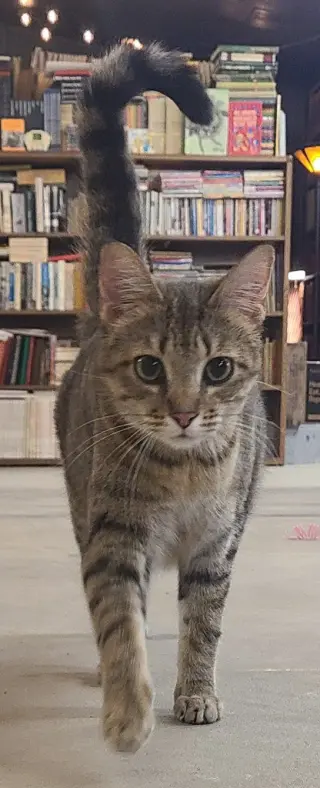 Omi