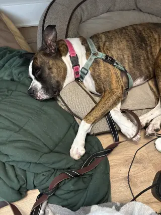 Drax