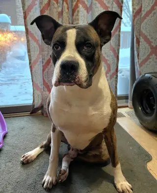 Drax
