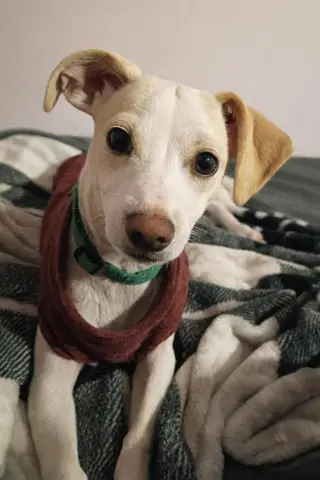 SEYMOUR