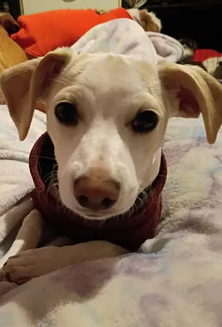 SEYMOUR