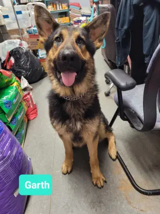 Garth-Sponsored