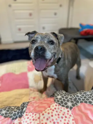Rosie