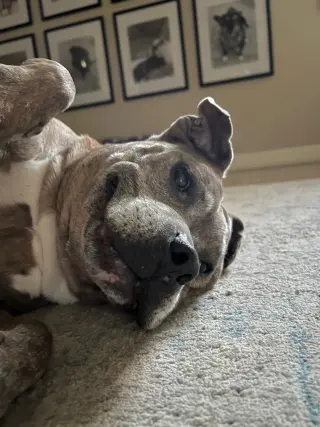 Rosie