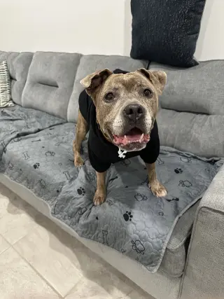 Rosie