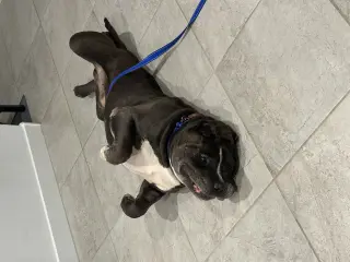 Armani